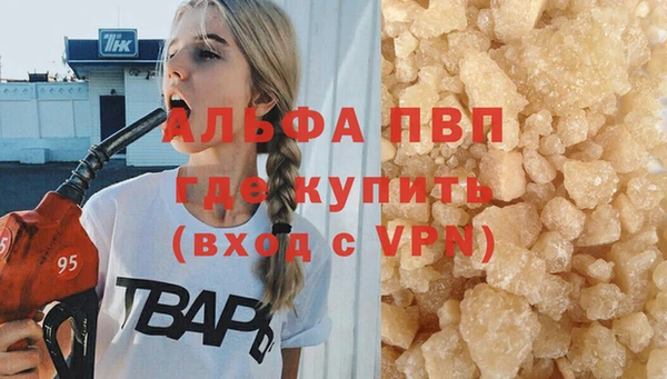 гашик Липки