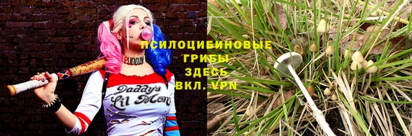 гашик Липки