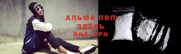 гашик Липки