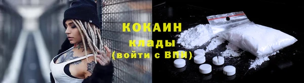 гашик Липки