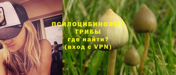 мяу мяу кристалл Лихославль