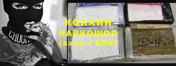 гашик Липки