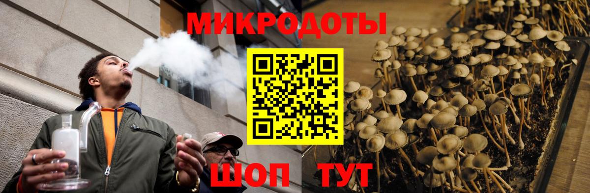 Туапсе  Псилоцибиновые грибы Psilocybe  Вход с VPN 