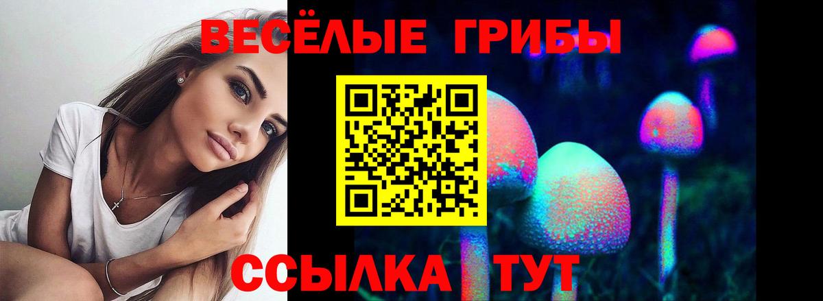 Галлюциногенные грибы мицелий Туапсе